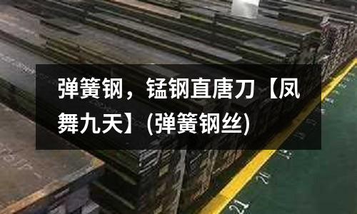 彈簧鋼，錳鋼直唐刀【鳳舞九天】(彈簧鋼絲)