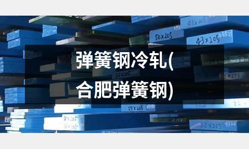 彈簧鋼冷軋(合肥彈簧鋼)