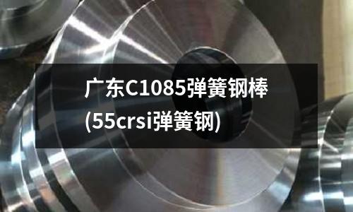 廣東C1085彈簧鋼棒(55crsi彈簧鋼)
