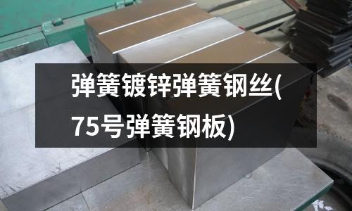 彈簧鍍鋅彈簧鋼絲(75號彈簧鋼板)