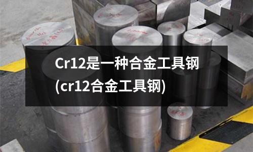 Cr12是一種合金工具鋼(cr12合金工具鋼)