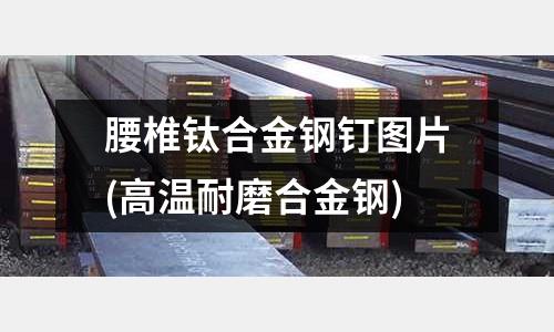 腰椎鈦合金鋼釘圖片(高溫耐磨合金鋼)