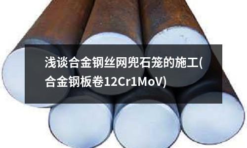 淺談合金鋼絲網兜石籠的施工(合金鋼板卷12Cr1MoV)