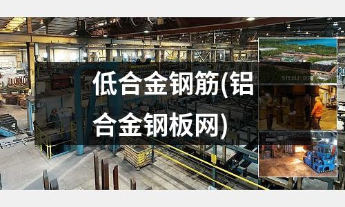 低合金鋼筋(鋁合金鋼板網(wǎng))