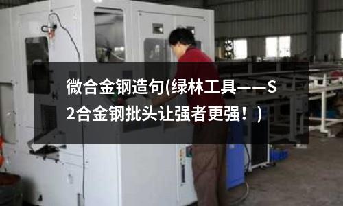 微合金鋼造句(綠林工具——S2合金鋼批頭讓強者更強！)