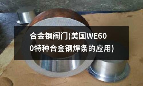 合金鋼閥門(美國WE600特種合金鋼焊條的應用)
