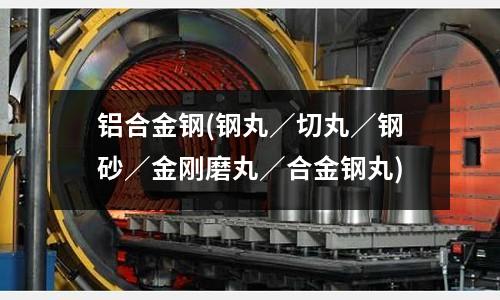 鋁合金鋼(鋼丸/切丸/鋼砂/金剛磨丸/合金鋼丸)