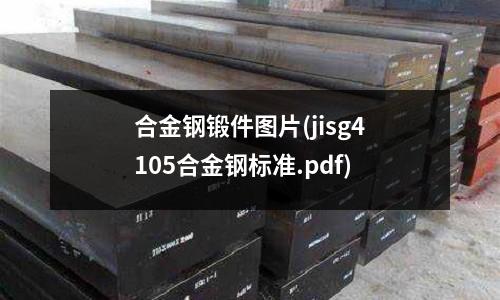 合金鋼鍛件圖片(jisg4105合金鋼標準.pdf)