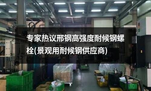 專(zhuān)家熱議邢鋼高強(qiáng)度耐候鋼螺栓(景觀用耐候鋼供應(yīng)商)