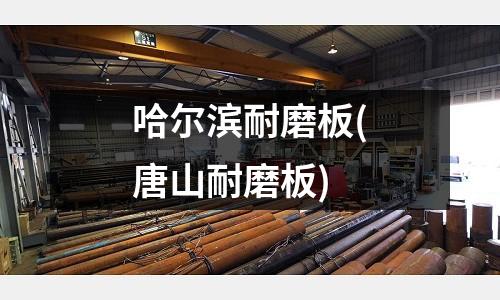 哈爾濱耐磨板(唐山耐磨板)