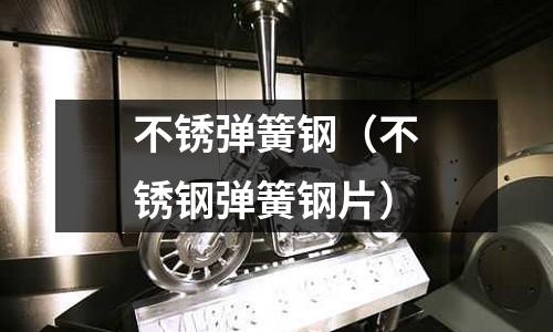 不銹彈簧鋼(不銹鋼彈簧鋼片)