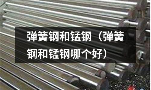 彈簧鋼和錳鋼（彈簧鋼和錳鋼哪個好）