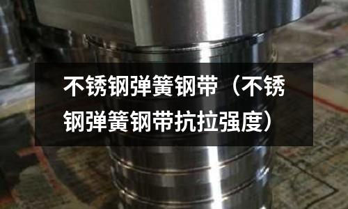 不銹鋼彈簧鋼帶（不銹鋼彈簧鋼帶抗拉強度）