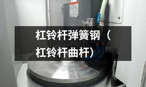 杠鈴桿彈簧鋼（杠鈴桿曲桿）