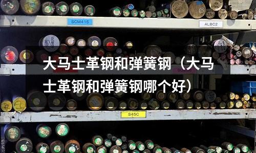 大馬士革鋼和彈簧鋼（大馬士革鋼和彈簧鋼哪個好）