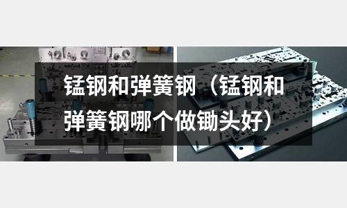 錳鋼和彈簧鋼（錳鋼和彈簧鋼哪個做鋤頭好）