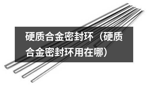 硬質合金密封環（硬質合金密封環用在哪）