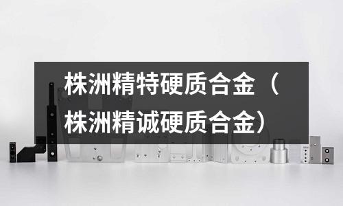 株洲精特硬質(zhì)合金（株洲精誠硬質(zhì)合金）
