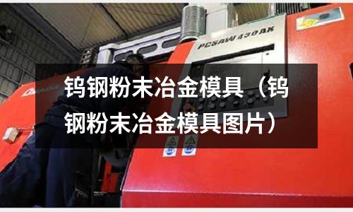 鎢鋼粉末冶金模具（鎢鋼粉末冶金模具圖片）