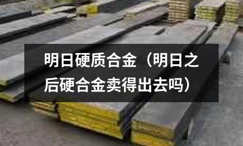 明日硬質合金（明日之后硬合金賣得出去嗎）