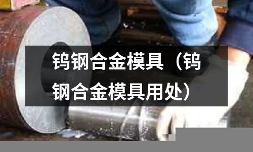 鎢鋼合金模具(鎢鋼合金模具用處)