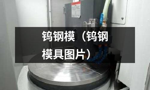 鎢鋼模(鎢鋼模具圖片)