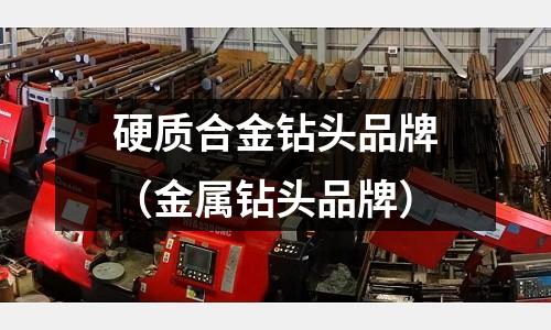 硬質(zhì)合金鉆頭品牌（金屬鉆頭品牌）