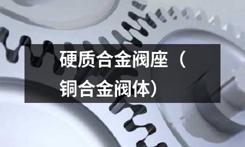 硬質合金閥座（銅合金閥體）