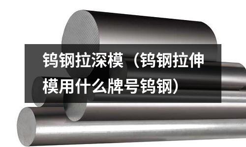 鎢鋼拉深模（鎢鋼拉伸模用什么牌號鎢鋼）