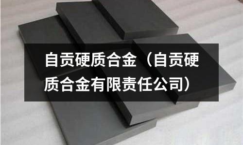 自貢硬質合金(自貢硬質合金有限責任公司)