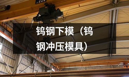 鎢鋼下模（鎢鋼沖壓模具）