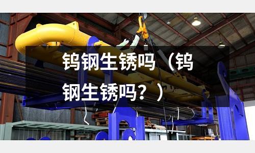 鎢鋼生銹嗎（鎢鋼生銹嗎？）