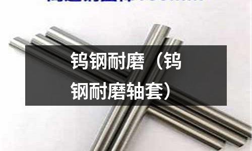 鎢鋼耐磨（鎢鋼耐磨軸套）