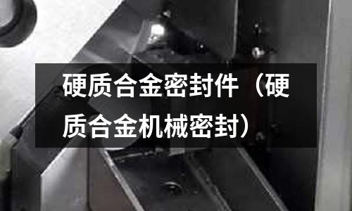 硬質合金密封件(硬質合金機械密封)