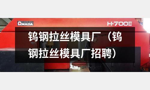 鎢鋼拉絲模具廠(鎢鋼拉絲模具廠招聘)