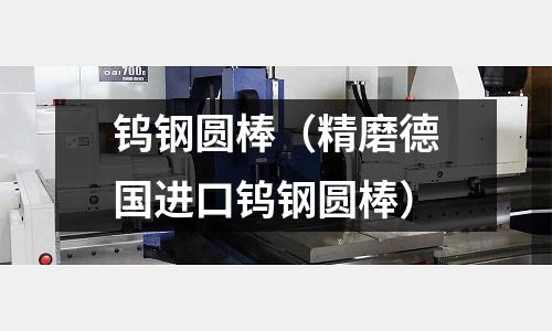 鎢鋼圓棒(精磨德國進口鎢鋼圓棒)