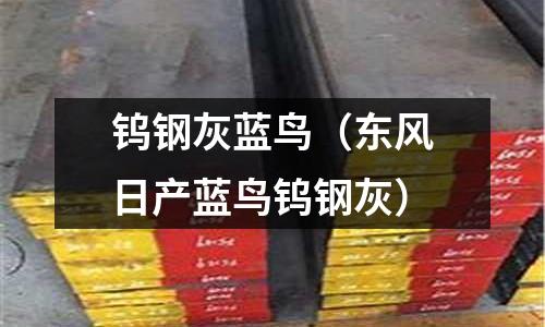 鎢鋼灰藍鳥（東風日產藍鳥鎢鋼灰）