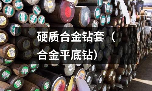 硬質合金鉆套(合金平底鉆)