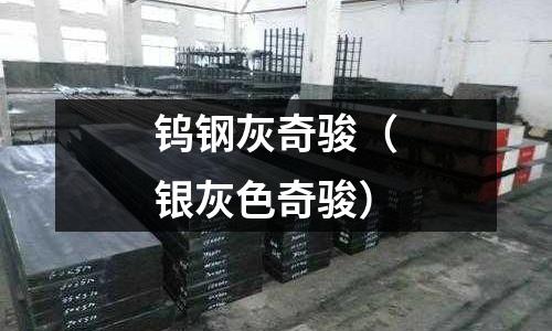 鎢鋼灰奇駿（銀灰色奇駿）