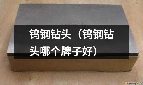 鎢鋼鉆頭（鎢鋼鉆頭哪個牌子好）