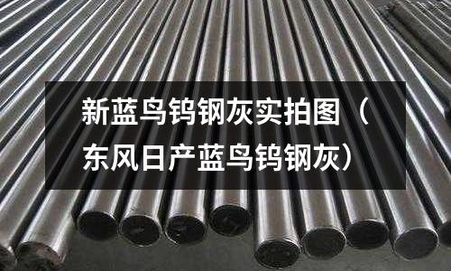 新藍鳥鎢鋼灰實拍圖（東風日產藍鳥鎢鋼灰）