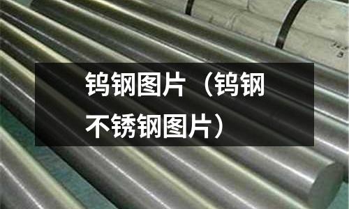 鎢鋼圖片（鎢鋼不銹鋼圖片）