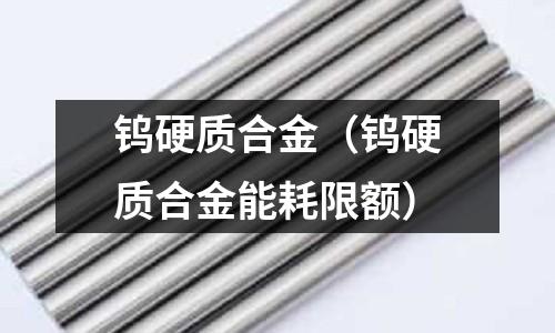 鎢硬質合金（鎢硬質合金能耗限額）