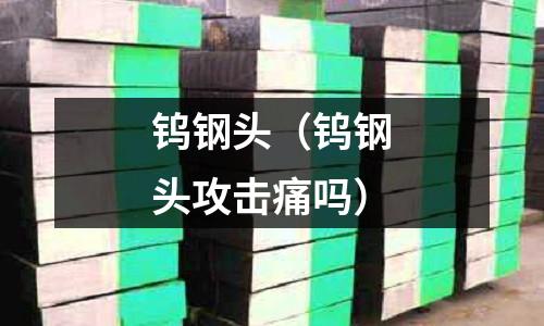 鎢鋼頭(鎢鋼頭攻擊痛嗎)