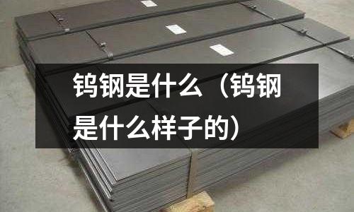 鎢鋼是什么（鎢鋼是什么樣子的）