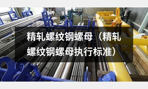 精軋螺紋鋼螺母（精軋螺紋鋼螺母執行標準）