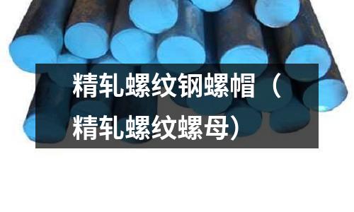 精軋螺紋鋼螺帽（精軋螺紋螺母）