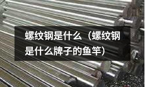 螺紋鋼是什么(螺紋鋼是什么牌子的魚竿)