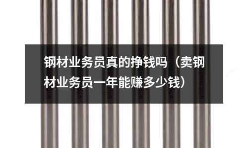 鋼材業務員真的掙錢嗎（賣鋼材業務員一年能賺多少錢）