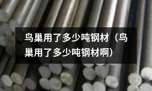 鳥巢用了多少噸鋼材(鳥巢用了多少噸鋼材啊)